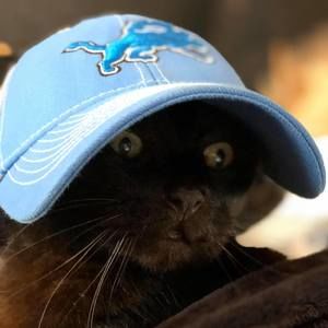 Meet your Posher, Lynn